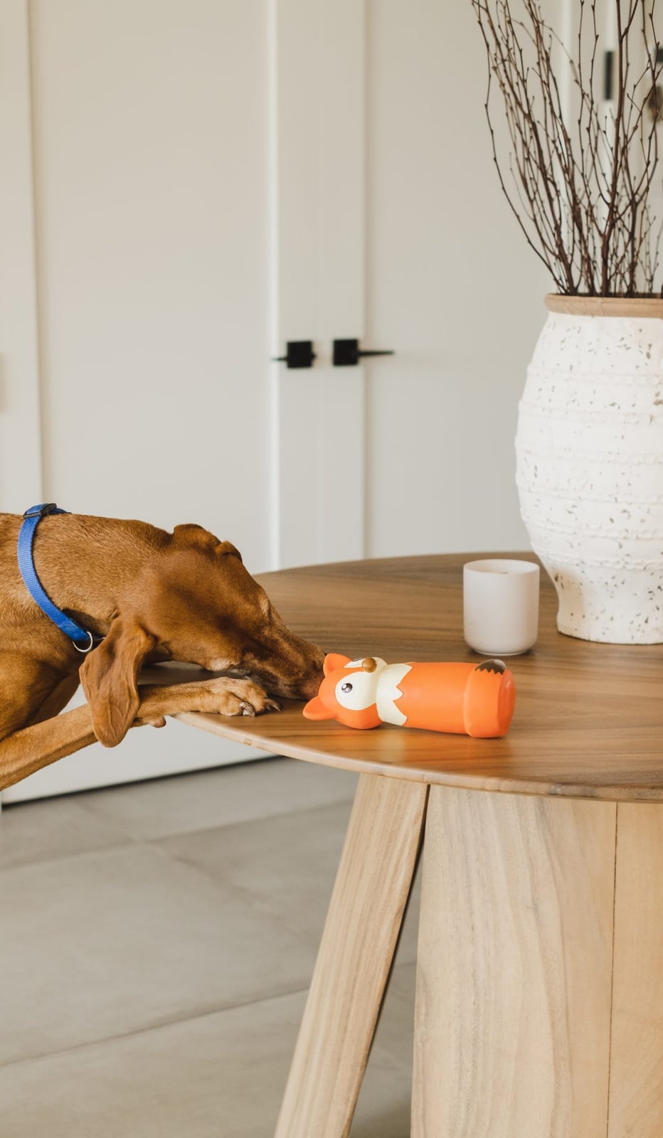 Bud-Z Latex Dog Toy with Recycled Water Bottle Fox
