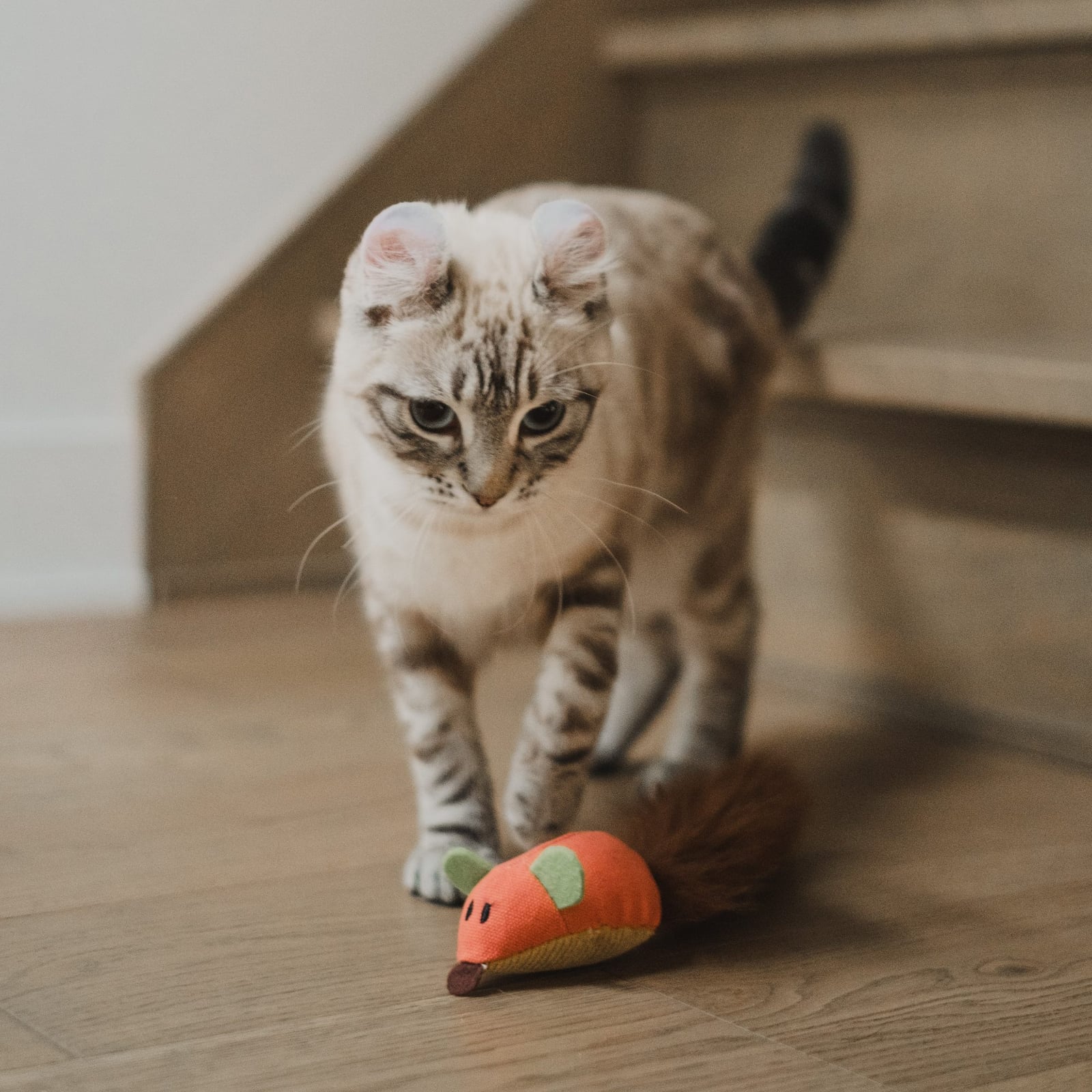 Bud-Z Cat Toy With Catnip Tube With Silky Tail Mouse