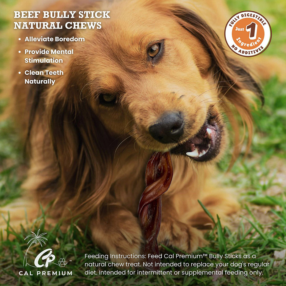 Cal Premium Twisted Bully Stick Dog Chew - Dog chewing a twisted bully stick on the grass - PetMax Canada
