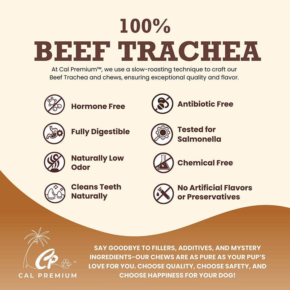 Cal Premium Beef Trachea Ring Dog Chew - 100% beef trachea benefits graphic - PetMax Canada