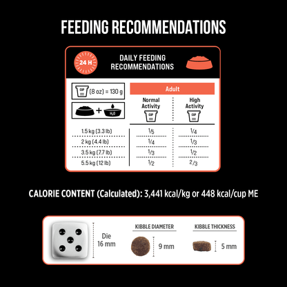 Nutrience Grain Free SubZero Turkey & Pumpkin Limited Ingredient Cat Food - 1.8 Kg - Cat Food - Nutrience Pet Food - PetMax Canada