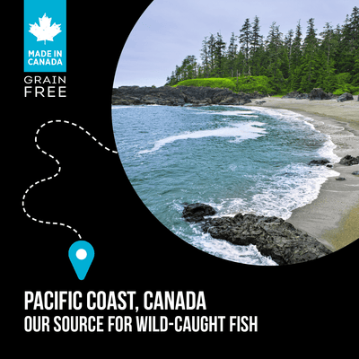 Nutrience Grain Free Cat Food SubZero Canadian Pacific - 2.27 Kg - Cat Food - Nutrience Pet Food - PetMax Canada