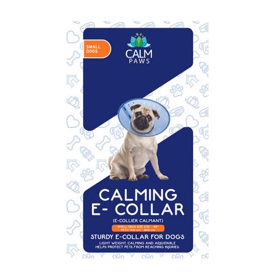 Collier électronique