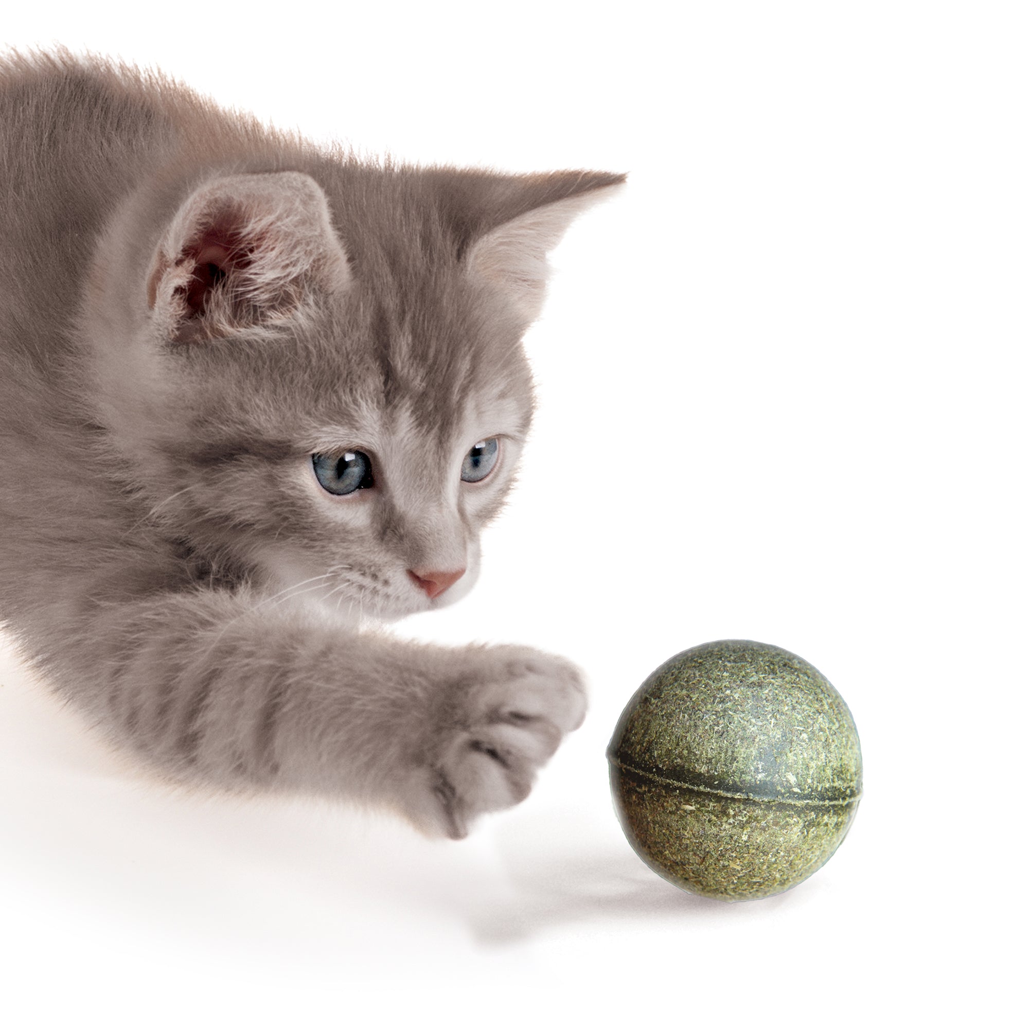 Catit Catnip & Silvervine Play Ball