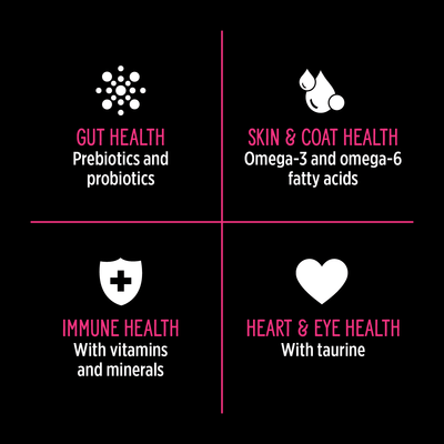 Nutrience SubZero Lamb & Pumpkin Limited Ingredient Dog Food - 1.8 Kg - Dog Food - Nutrience Pet Food - PetMax Canada