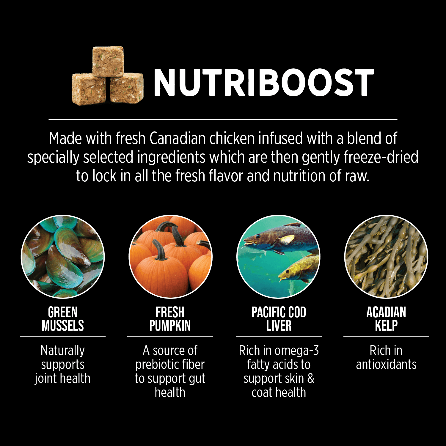 Nutrience Grain Free SubZero Fraser Valley Formula for Small Breed Dogs - 2.27 Kg - Dog Food - Nutrience Pet Food - PetMax Canada