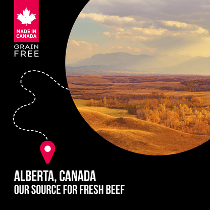 Nutrience Grain Free Dog Food SubZero Small Breed Prairie Red - 2.27 Kg - Dog Food - Nutrience Pet Food - PetMax Canada
