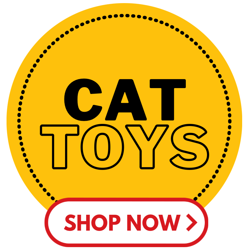 Buy cat toys online in Canada at petmax.ca