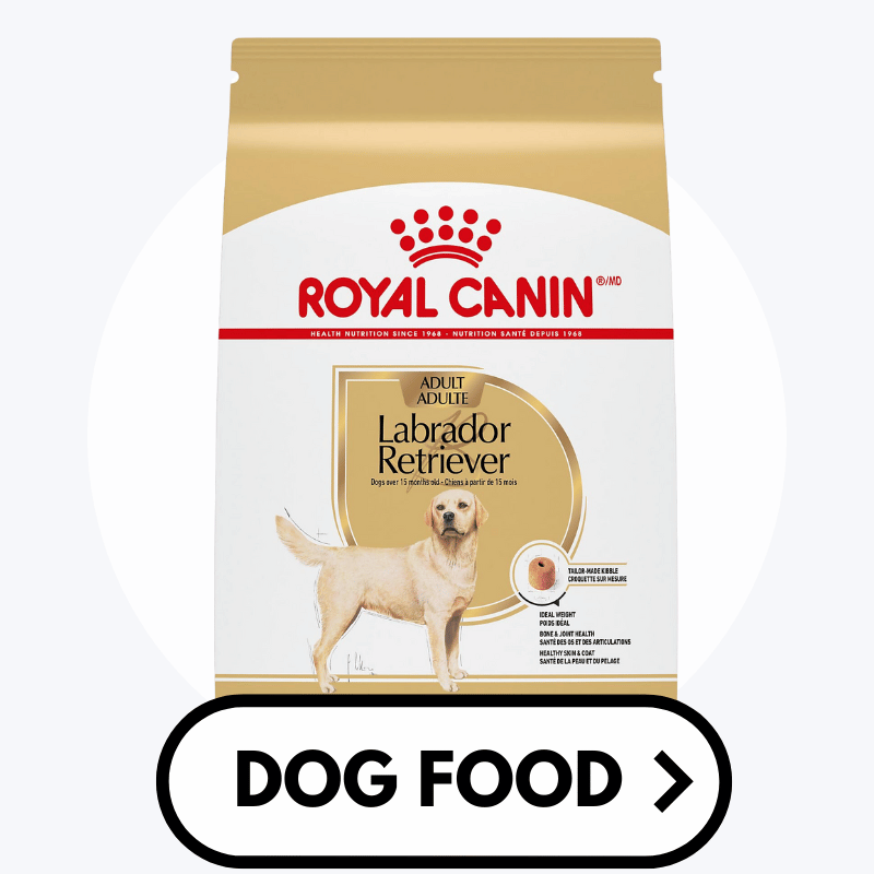 Dog food online suppliers hot sale