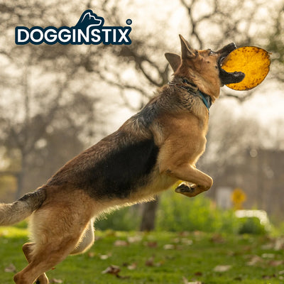 Dogginstix  Beef Collagen UFO