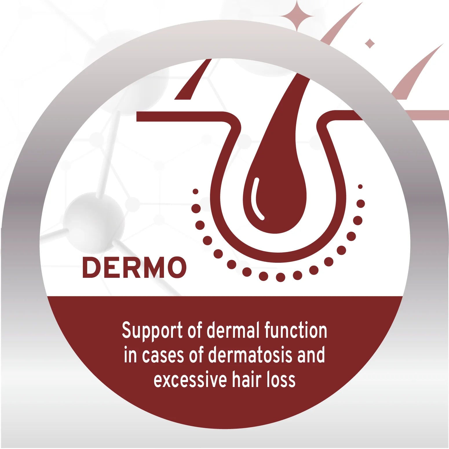 Forza10 Nutraceutic Active Dermo Support Diet Dry Dog Food