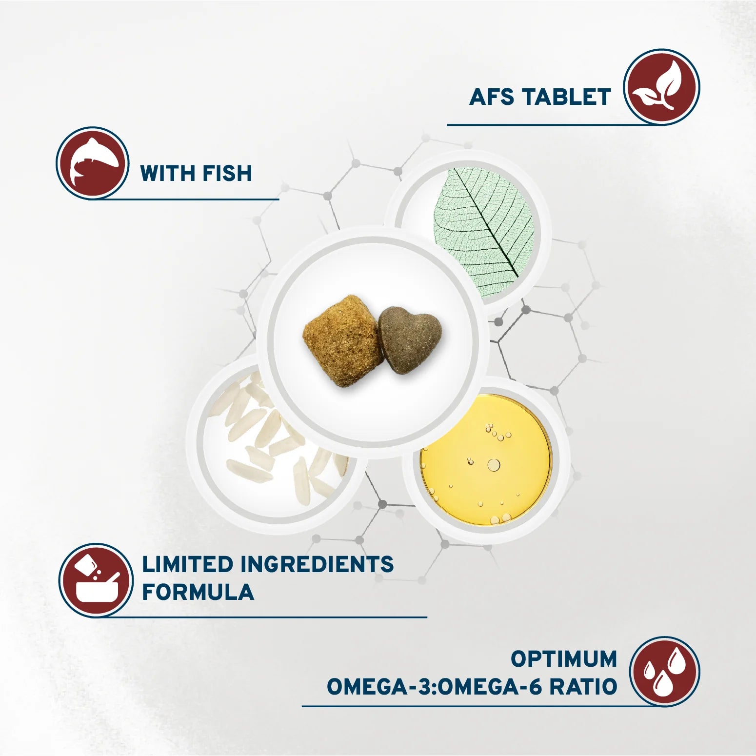 Forza10 Nutraceutic Active Dermo Support Diet Dry Dog Food