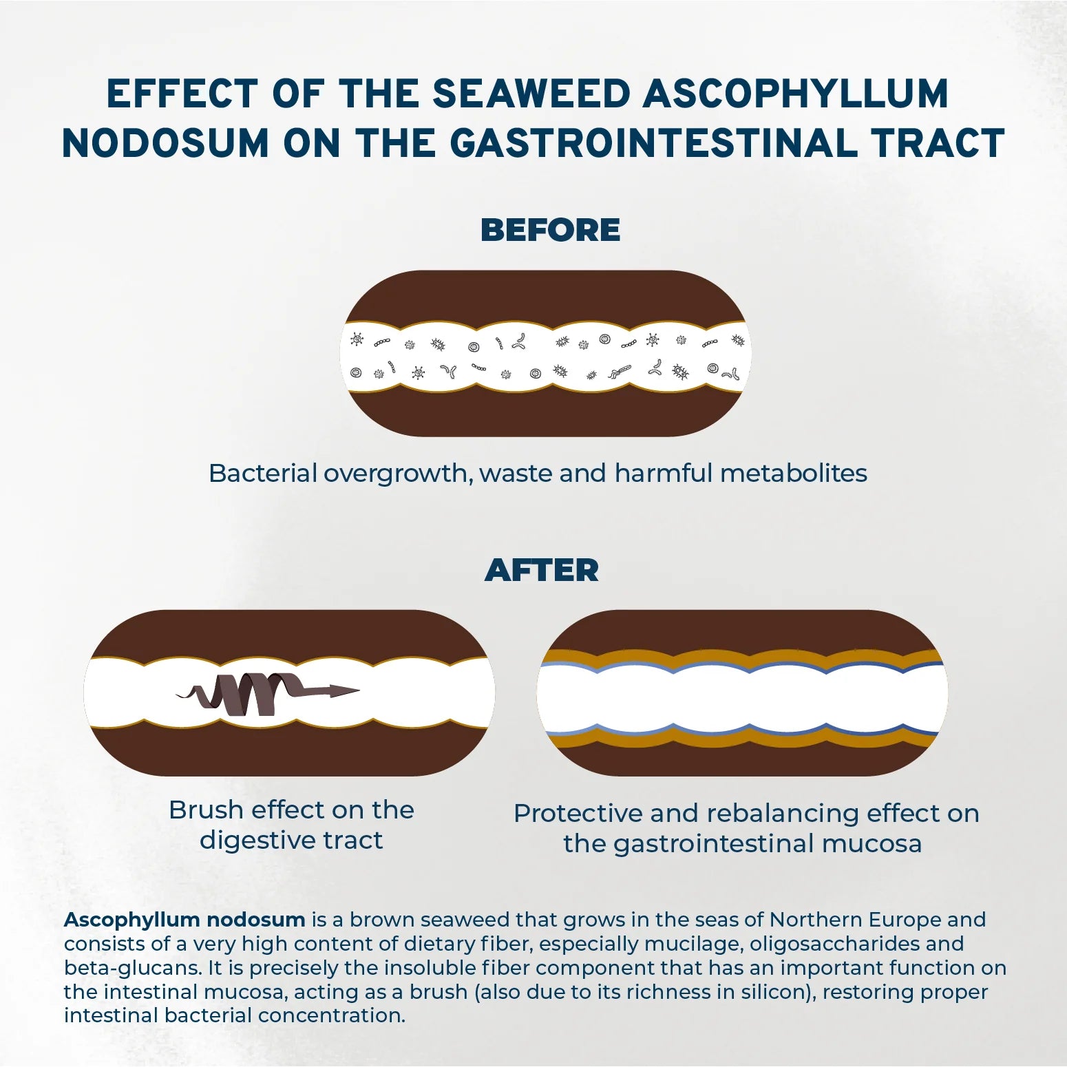 Forza10 Nutraceutic Active Colon Phase 1 Dry Dog Food