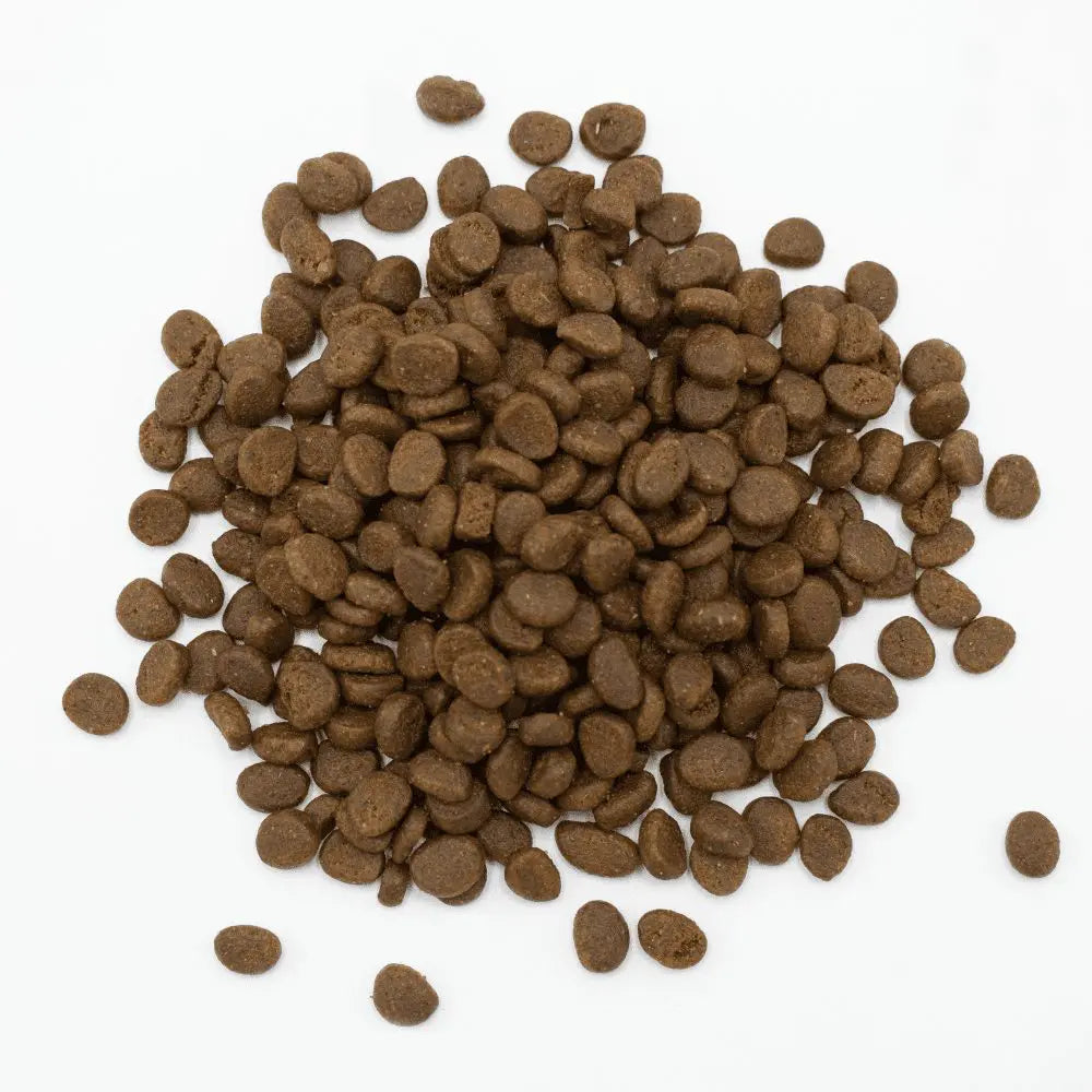 Oxbow Essentials Ferret Food - Kibble Close-Up - Oxbow - PetMax Canada