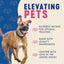 Finley's Soft Chew Trainer Bites Turkey Dog Treats  Dog Treats  | PetMax Canada