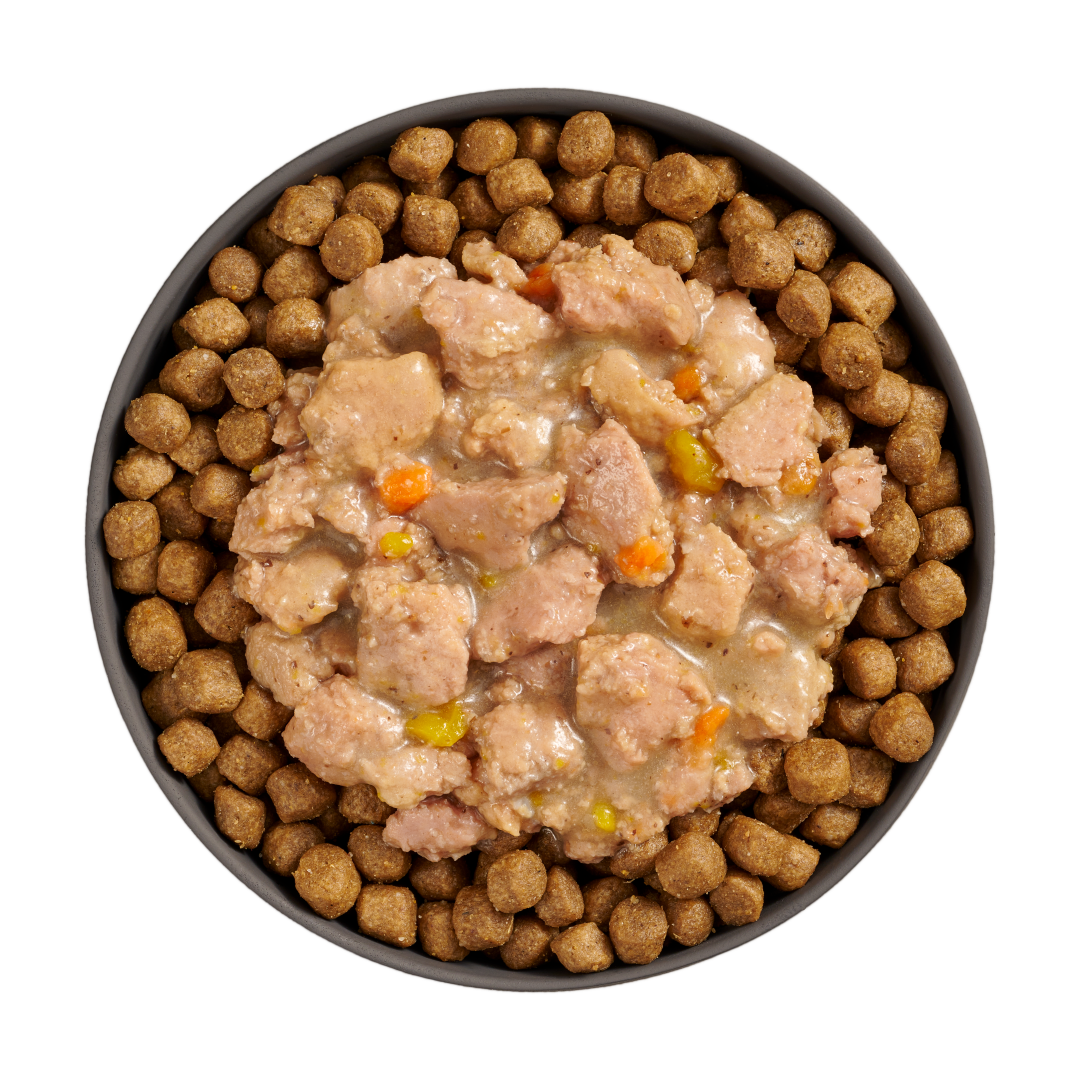 Go! Booster Brain Health Minced Chicken And Salmon With Gravy For Cats  Canned Cat Food  | PetMax Canada