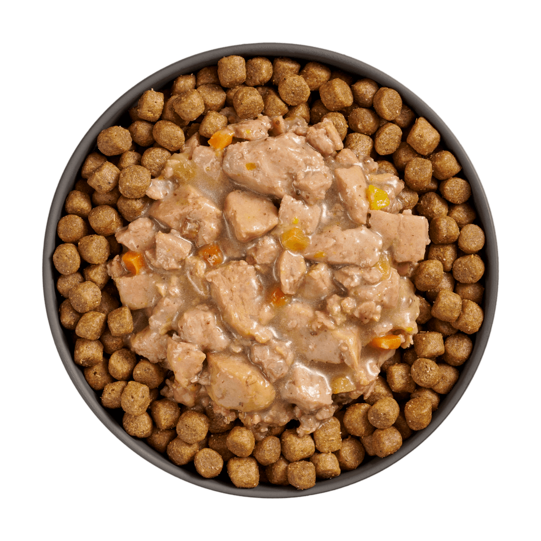 Go! Booster Digestive Health Minced Chicken And Duck With Gravy For Cats - 71g - Canned Cat Food - Go! - PetMax Canada