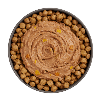 Go! Booster Digestive Health Tuna And Salmon Pate For Cats - 71g - Canned Cat Food - Go! - PetMax Canada