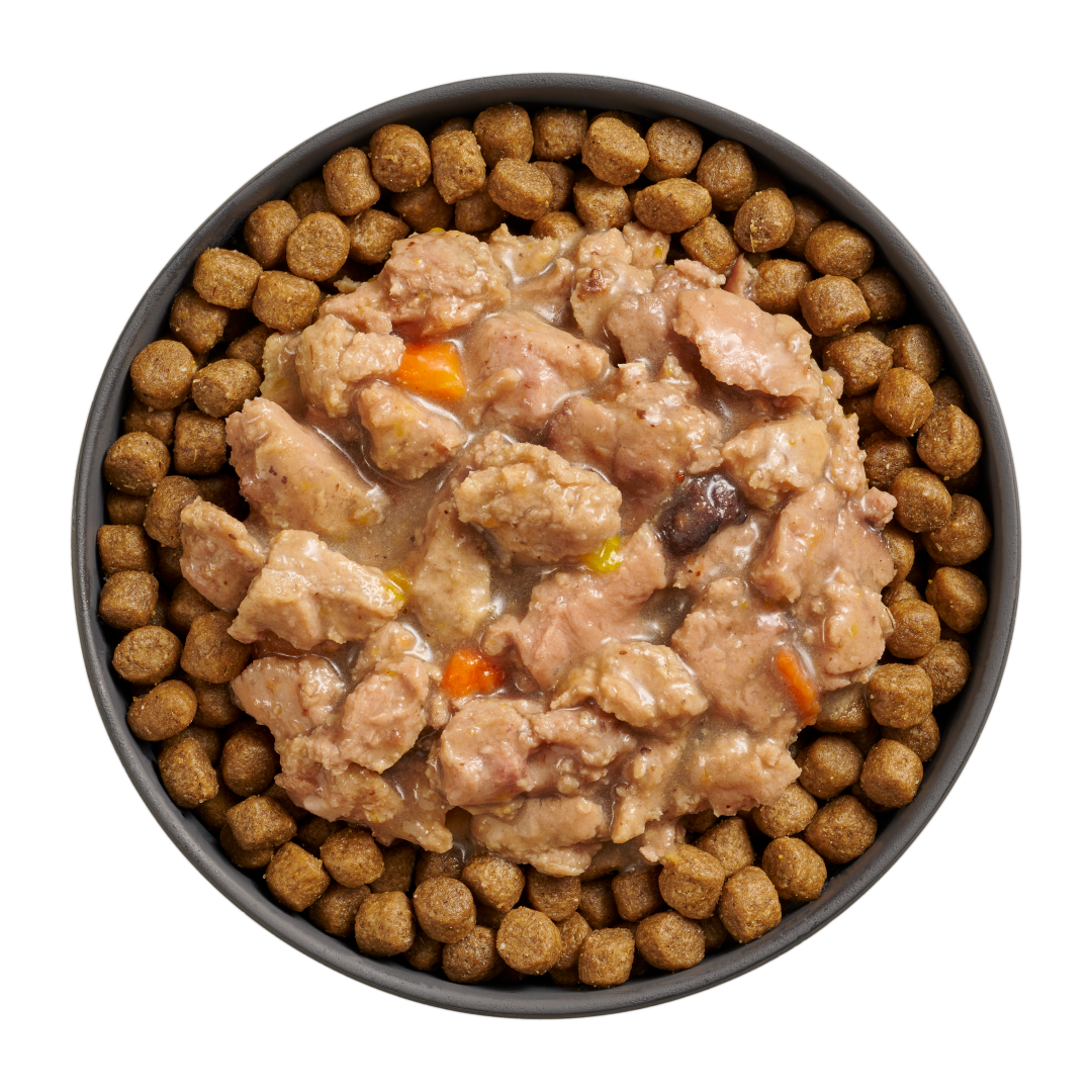 Go! Booster Immune Health Minced Chicken And Salmon With Gravy For Cats  Canned Cat Food  | PetMax Canada