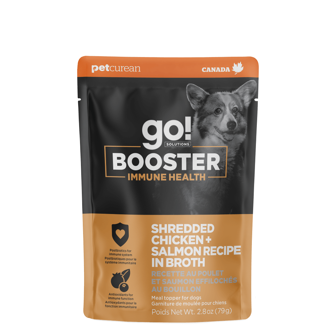 Go! Booster Immune Health Shredded Chicken And Salmon In Broth Meal Topper For Dogs - 79g - Canned Dog Food - Go! - PetMax Canada