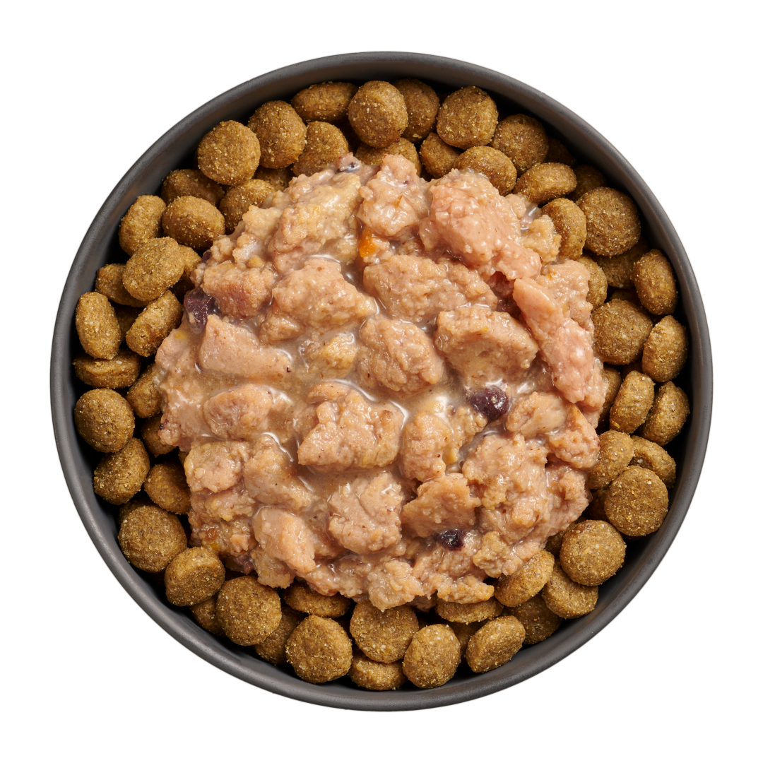 Go! Booster Immune Health Minced Chicken With Gravy Meal Topper For Dogs  Canned Dog Food  | PetMax Canada