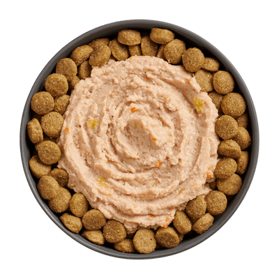 Go! Booster Joint Care Chicken, Salmon And Duck Pate Meal Topper For Dogs - 79g - Canned Dog Food - Go! - PetMax Canada