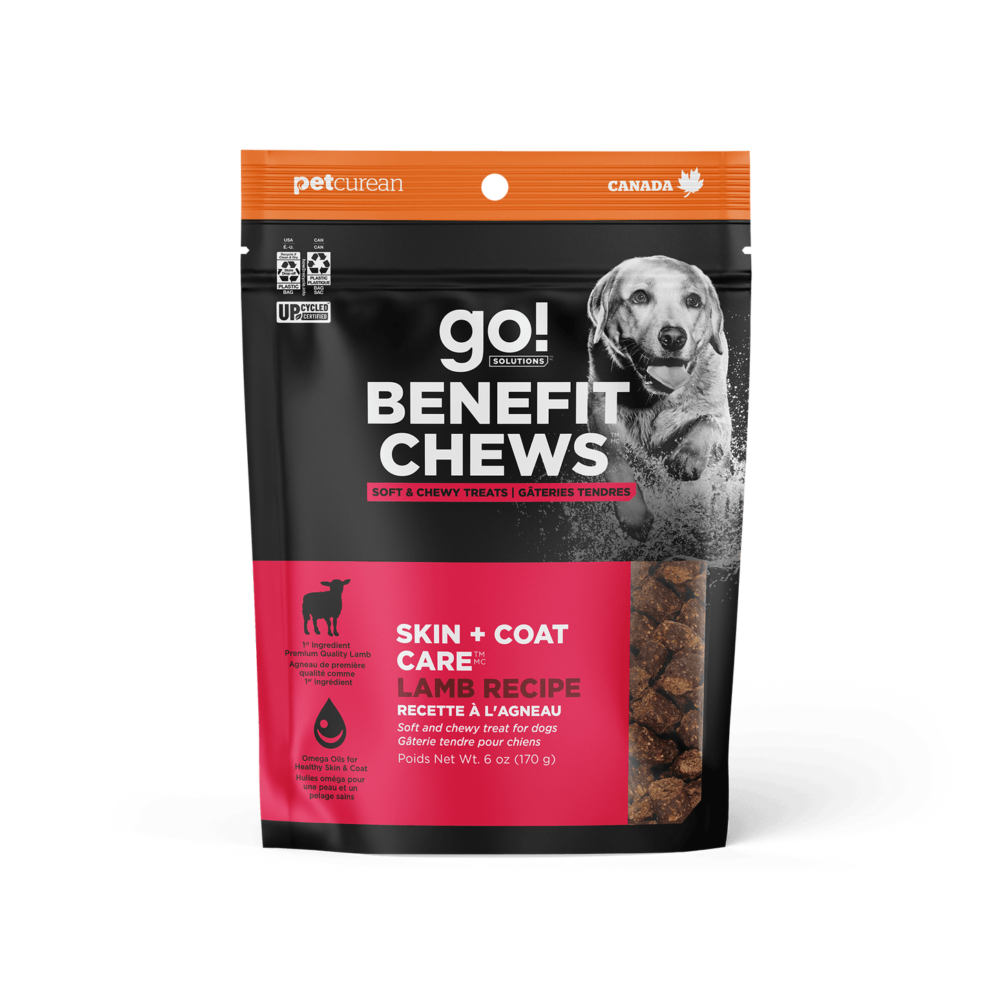Chewy dog food canada outlet