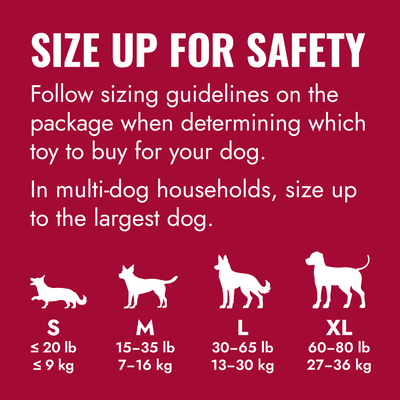 Kong Holiday Goodie Bone Dog Toy - KONG size guide, Medium for dogs 15 to 35 lb - Kong - PetMax Canada