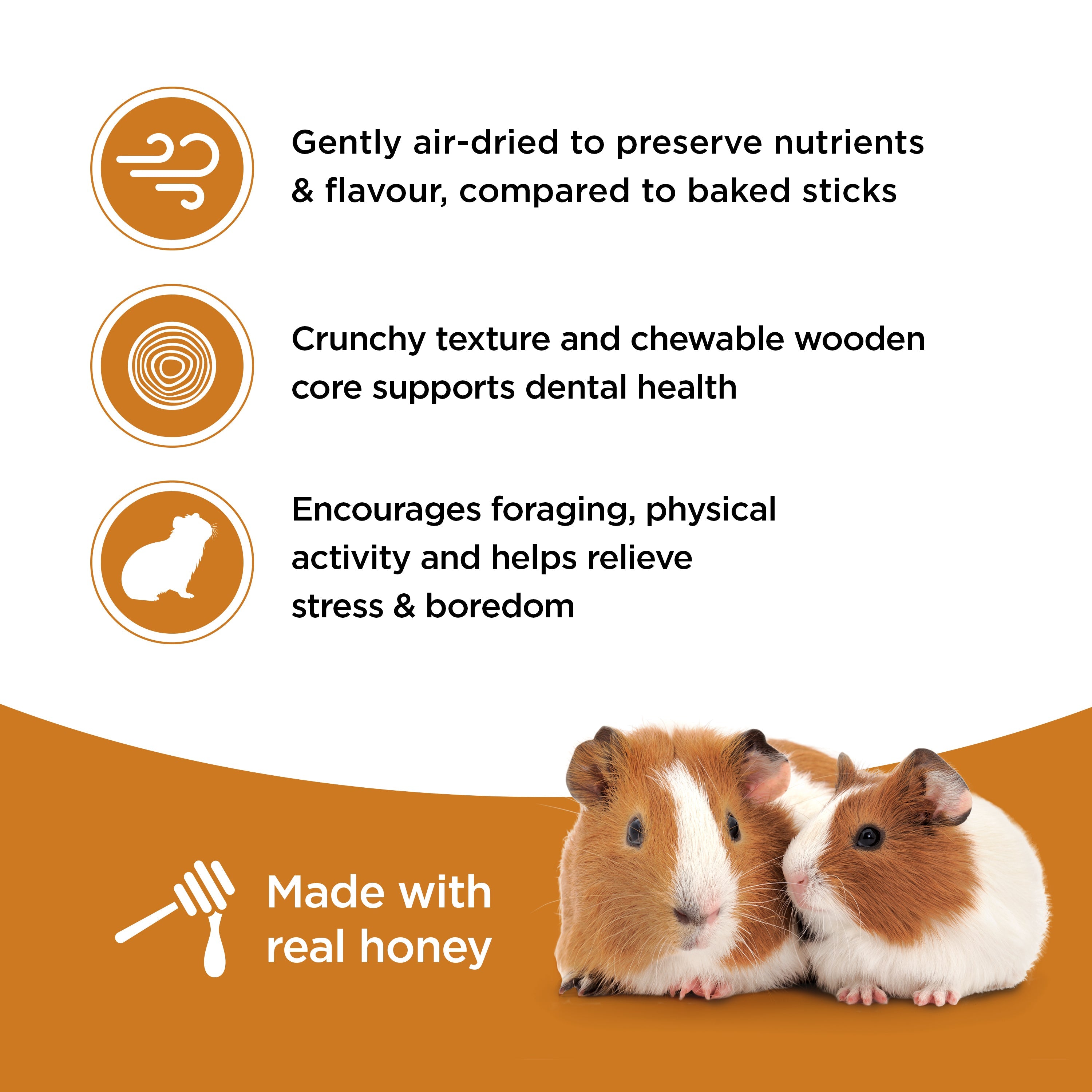 Living World Guinea Pig Honey Drizzle Treat Sticks