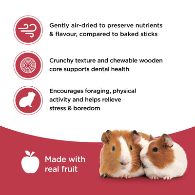 Living World Guinea Pig Fruit Medley Treat Sticks