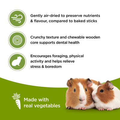 Living World Guinea Pig Veggie Patch Treat Sticks