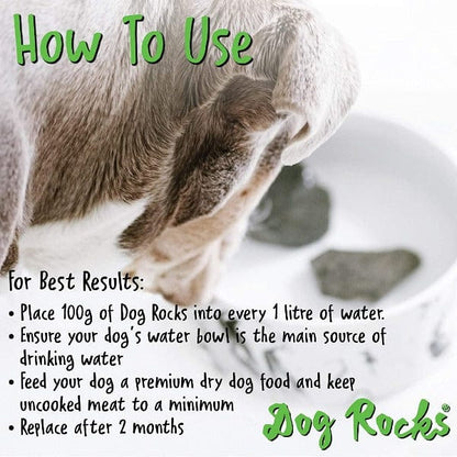 Dog Rocks Grass Saver