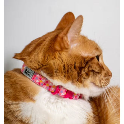 RC Pets Kitty Breakaway Collar Lil Hearts Pattern