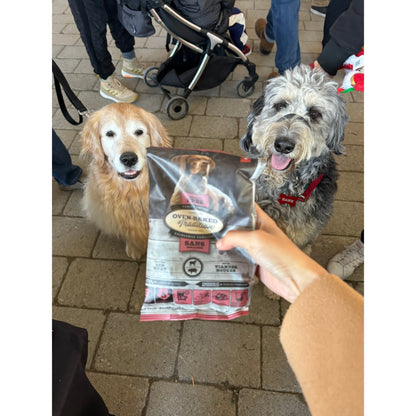 Two dogs looking at a bag of dog food held by a person on a brick pavement.
