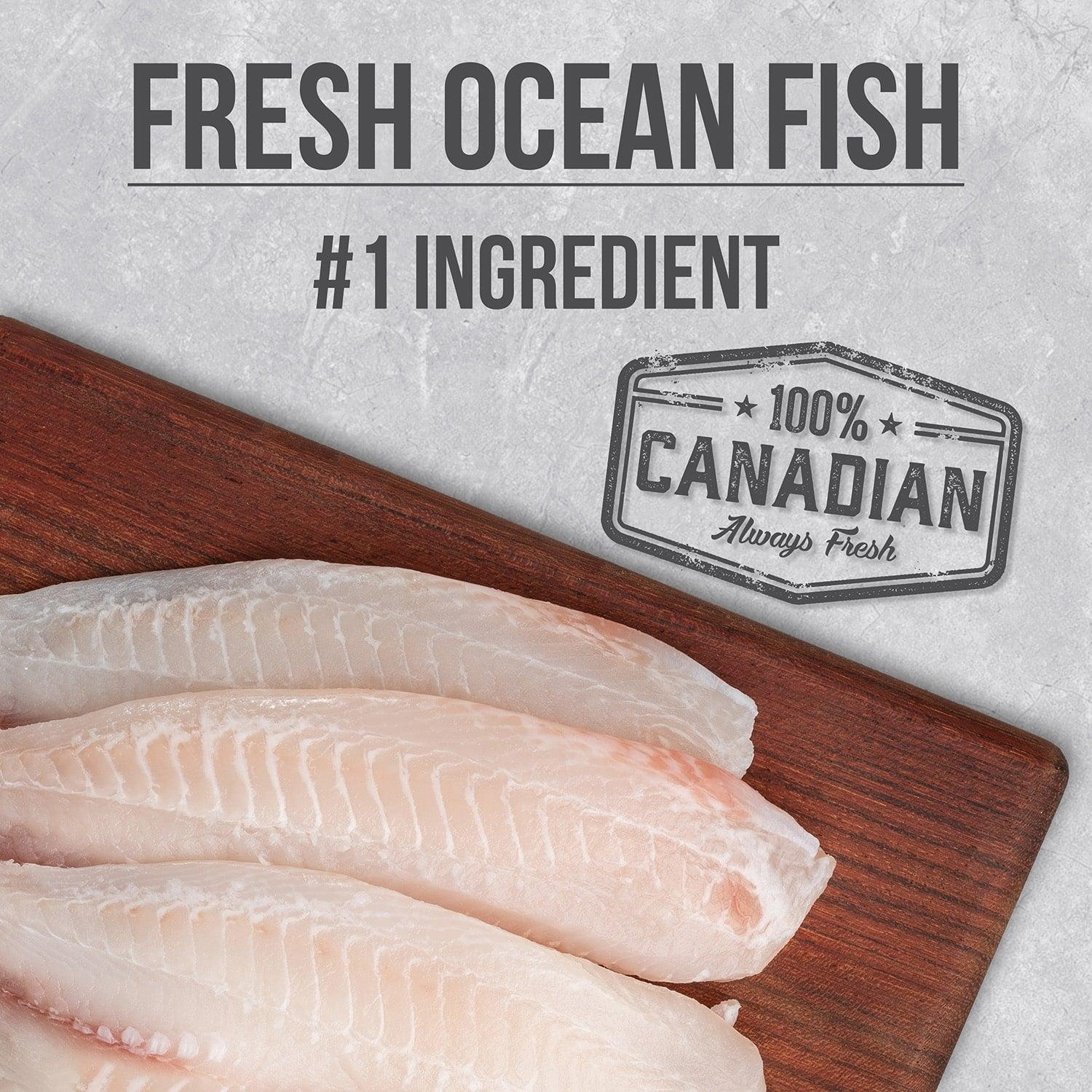 Nutrience Infusion Healthy Adult Dog Ocean Fish - 2.27 Kg - Dog Food - Nutrience Pet Food - PetMax Canada