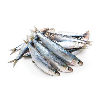 Iron Will Raw Frozen Whole Sardines - Whole Sardines - Iron Will Raw - PetMax Canada