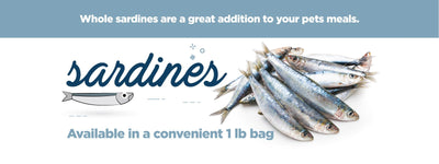 Iron Will Raw Frozen Whole Sardines - Brand Banner - Iron Will Raw - PetMax Canada