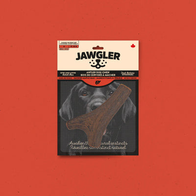 Jawgler Whole Natural Deer Antler