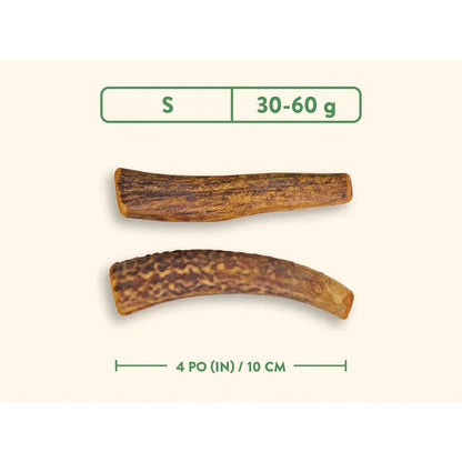 Bois de cerf naturel entier Dentler