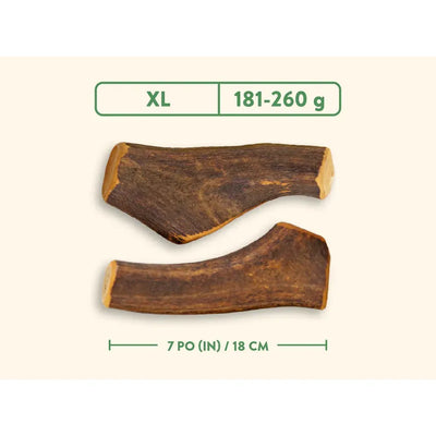 Jawgler Whole Natural Deer Antler