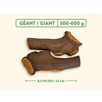 Jawgler Whole Natural Deer Antler