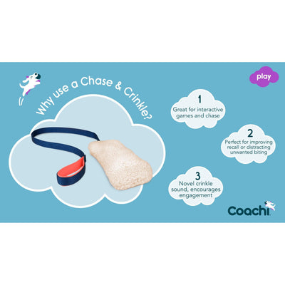 Coachi Chase & Crinkle Dog Dummy, Navy - Default Title - Training Products - COACHI - PetMax Canada