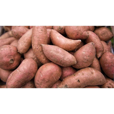 Dog Bites Freeze Dried Pup Poutine Mix