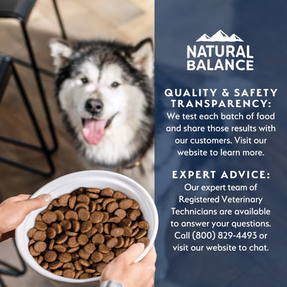 Natural Balance Health Protection Dry Dog Food, Salmon, Brown Rice & Pumpkin Recipe