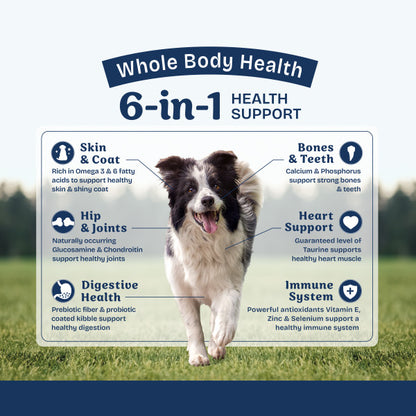 Natural Balance Health Protection Dry Dog Food, Chicken, Brown Rice & Pumpkin Recipe