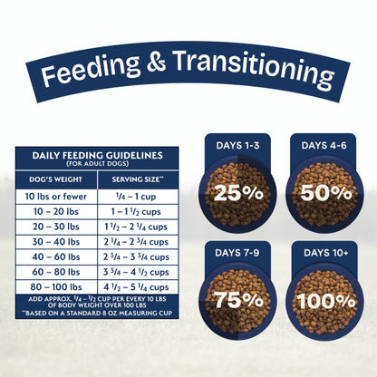 Natural Balance Health Protection Dry Dog Food, Salmon, Brown Rice & Pumpkin Recipe