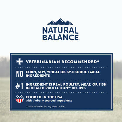 Natural Balance Health Protection Dry Dog Food, Salmon, Brown Rice & Pumpkin Recipe