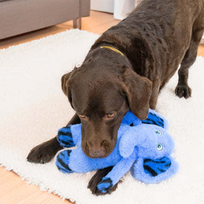 Kong Jungle Jamz Elephant Dog Toy