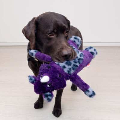 Kong Jungle Jamz Rhino Dog Toy