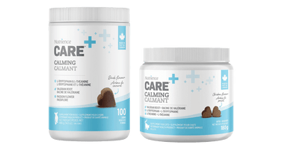 Nutrience